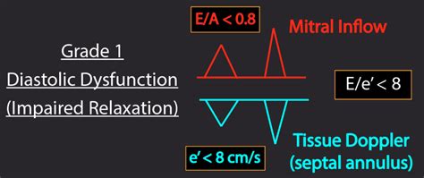 how long will i live with grade 1 diastolic dysfunction.